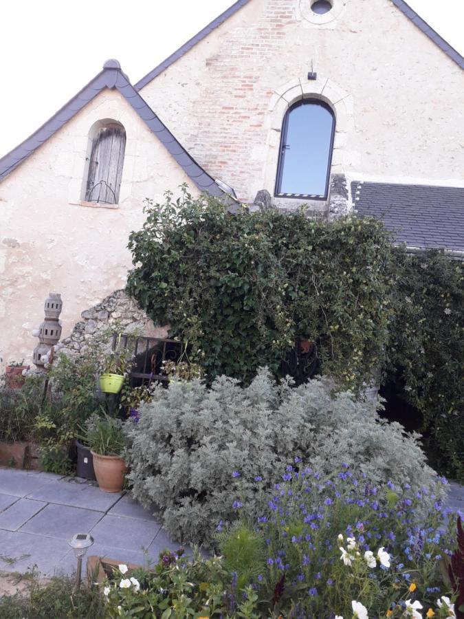 Gite Familial La Tabarderie Courcelles-de-Touraine Exteriér fotografie